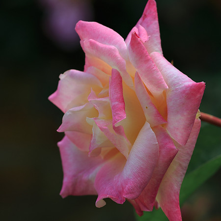 83