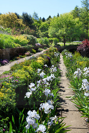 Terraces, Mount Grace Priory House and Gardens