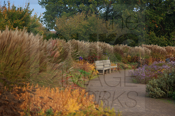 Glasshouse Landscape, RHS Wisley