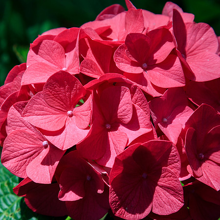 75