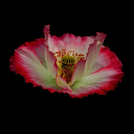 87